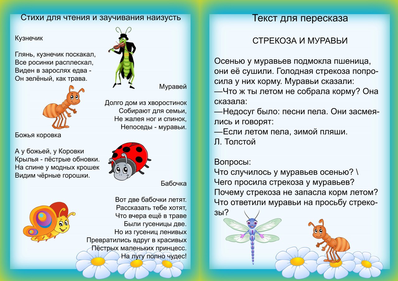 Лексическая тема насекомые старшая группа презентация